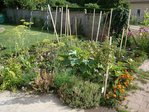 potager2011-4.jpg