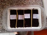 2012-01-22 14.48.19 (Copier).jpg