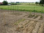 Le tout début, maintenant l'herbe a poussé, et le potager s'est développé.