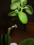 DSCF7589.JPG
