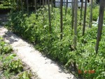 DSC04293.JPG