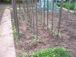 DSCN0513.JPG