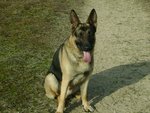 esko2.jpg