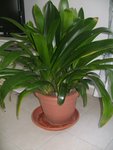 DSC02094.JPG