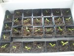 Photo 071.jpg