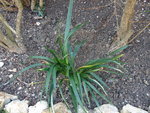 DSC01001.JPG