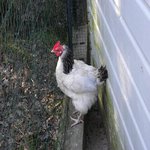 DSCN7318.JPG