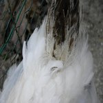 DSCN7317.JPG
