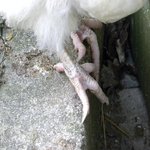 DSCN7320.JPG