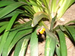 DSC01010.JPG