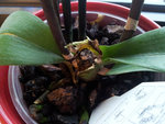 20120202_085554.jpg