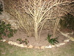 DSC01012.JPG