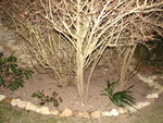 DSC01013.JPG