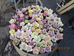 2012-02  Hellebores Delabroye _x07.jpg