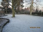 2012-02-04 neigex.jpg