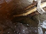 l'eau ne gèle pas autour du fagot température -10° depuis 2 jours.jpg