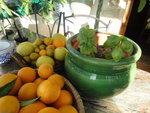 DSC00954.JPG