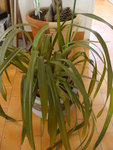 DSC01979.JPG