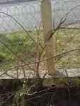 Voici une photo &quot;mode panorama&quot; qui montre un des pieds du milieu, celui le plus à gauche...