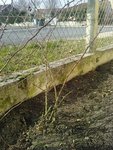 Voici une photo &quot;mode panorama&quot; qui montre le pied de droite...