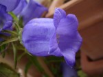 DSC05693.JPG