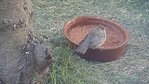 P1030993-1.jpg