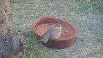 P1030996-2.jpg