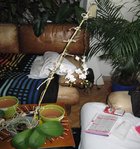 orchidee dede2 006.JPG