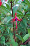 DSC_0117.JPG