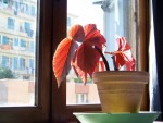 100_0141.JPG