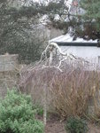 DSCF8697.JPG