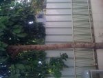 photo (18).JPG