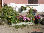 DSC04328.JPG