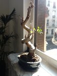 IMG_0025.JPG