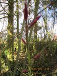 I2012-02-19 redoux 1x.jpg