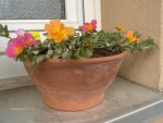 Photo 024.jpg