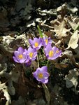 DSC02558.JPG