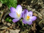 DSC02560.JPG