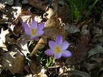 DSC02561.JPG