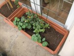 Photo 027.jpg