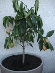 DSC05858.JPG
