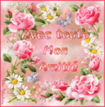 gif-amitie-4.gif