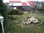 Sur la photo: les voisins d'en face (maison blanche) dont je voudrai me cacher. Actuellement il n'y a plus les thuyas ni les branches au sol, je ne suis pas très fan des résineux !