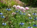 DSC00578 - Copie.JPG