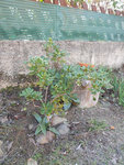 DSCN0393.JPG