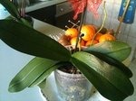 IMG_0091.JPG