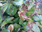 20120229_163846.jpg