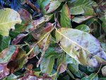 20120229_163855.jpg