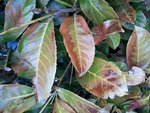 20120229_163925.jpg