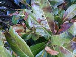 20120229_163936.jpg